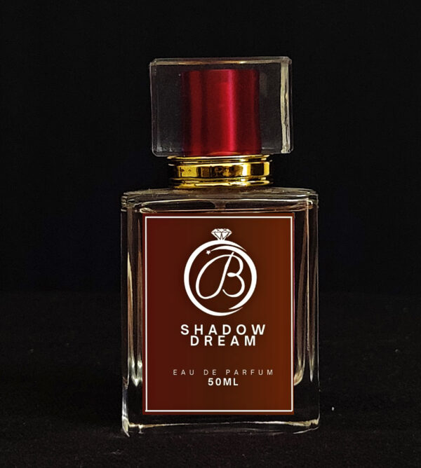 SHADOW DREAM